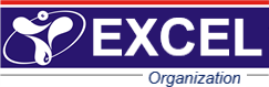 Excel Organization Logo 01